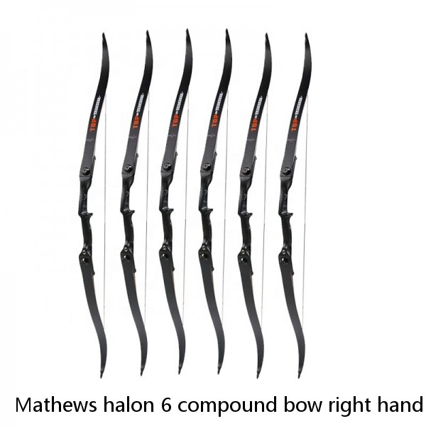 Mathews halon 6 compound bow right hand
