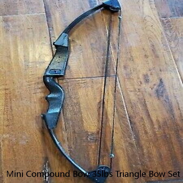 Mini Compound Bow 35lbs Triangle Bow Set Arrows Fishing Archery Hunting Target