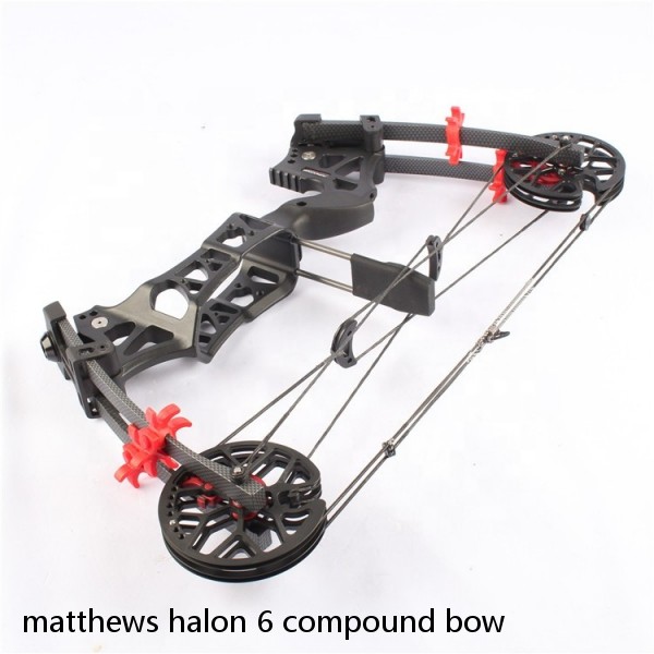 matthews halon 6 compound bow